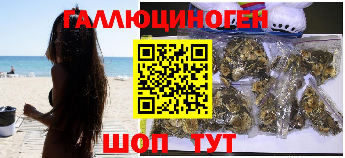 Псилоцибиновые грибы GOLDEN TEACHER Дюртюли